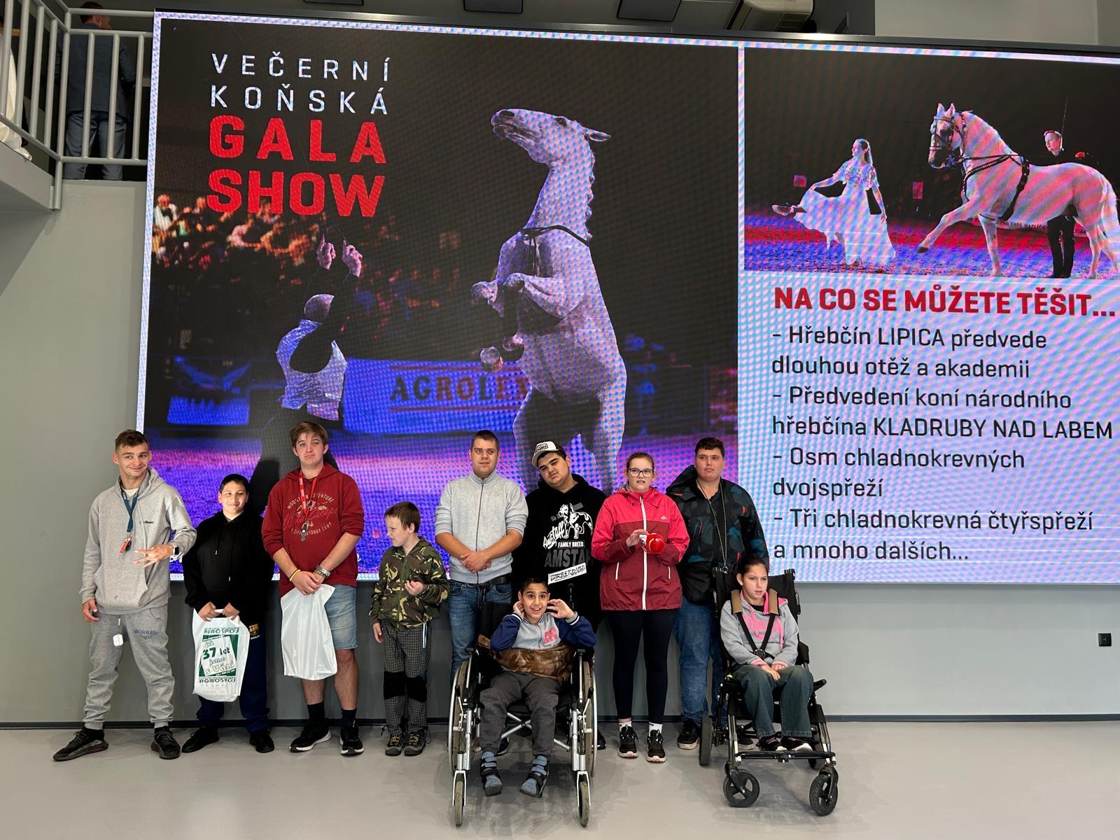 Návštěva výstavy Kůň 2026